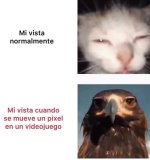 Eso q c ha movido ,es 1n bug....seguro...Xddddd.jpg