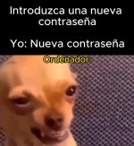 Ordenador equal.....jpg