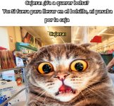 3 Doritos después....llaman a seguridad equal....x v 1.1.6.jpg