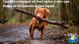 Cuando consegui un loot epico y veo que todos m lo quieren quitar.....c marca d water.jpg