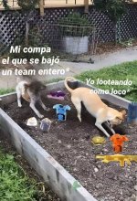 M labor dentro del team equal....jpg