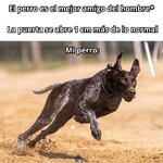 M perro equal....x v 1.1.6.jpg