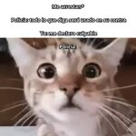 Policía equal.....jpg