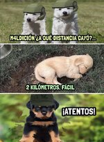 Jefe alto x Er gatito esta c nosotros x persona c fueguito - x v 4.1.7.jpg Jefe alto x Er gatito esta c nosotros x persona c fueguito - x v 4.1.7.jpg