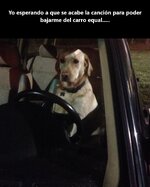 Yo esperando a que se acabe la canción para poder bajarme del carro equal.....jpg