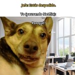Xq....x v 4.3.8.jpg Xq....x v 4.3.8.jpg
