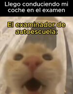 Er examinador equal....jpg Er examinador equal....jpg
