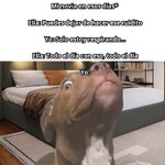 Yo equal...x v 1.1.7.jpg