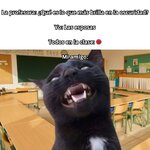 M amigo...x v 5.1.8.jpg