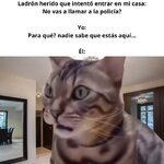 Er ladrón en corto equal.....jpg Er ladrón en corto equal.....jpg