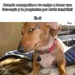 Yo equal....x are u.....x v 4.2.8.jpg
