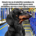 vas en el bus x jajas.jpg