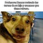 Tareas x jajas.jpg