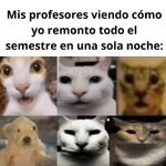 Mis profes equal......jpg