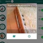 AH Ok.....x Ingeniería de alimentos equal....x v 2.1.6.jpg