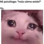 Ty psicologo x yo en corto equal....jpg Ty psicologo x yo en corto equal....jpg