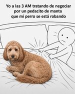 Compart la manta desgraciado equal....x v 1.1.4.jpg