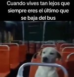 Er bus ya es mio equal.....jpg
