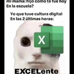 Equisde x Excelent.....jpg