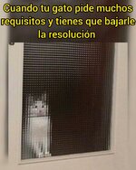 bajando la resolucion....jpg bajando la resolucion....jpg