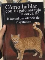 Y er gato en corto equal....L decadencia ci existe...la vieja playzzz ya no equal.....jpg Y er gato en corto equal....L decadencia ci existe...la vieja playzzz ya no equal.....jpg