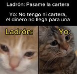 Yo x er ladrón equal.....jpg Yo x er ladrón equal.....jpg