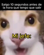 M jefe equal.....jpg M jefe equal.....jpg