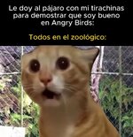Todos en el Zoo equal....jpg Todos en el Zoo equal....jpg