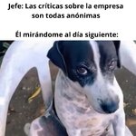 Er jefe mirandome equal.....jpg