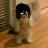 dormin.eidxnxx